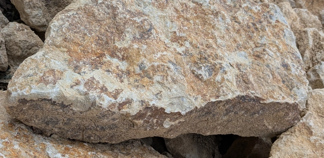 Our walling stone cross section showing marbled colours of stone