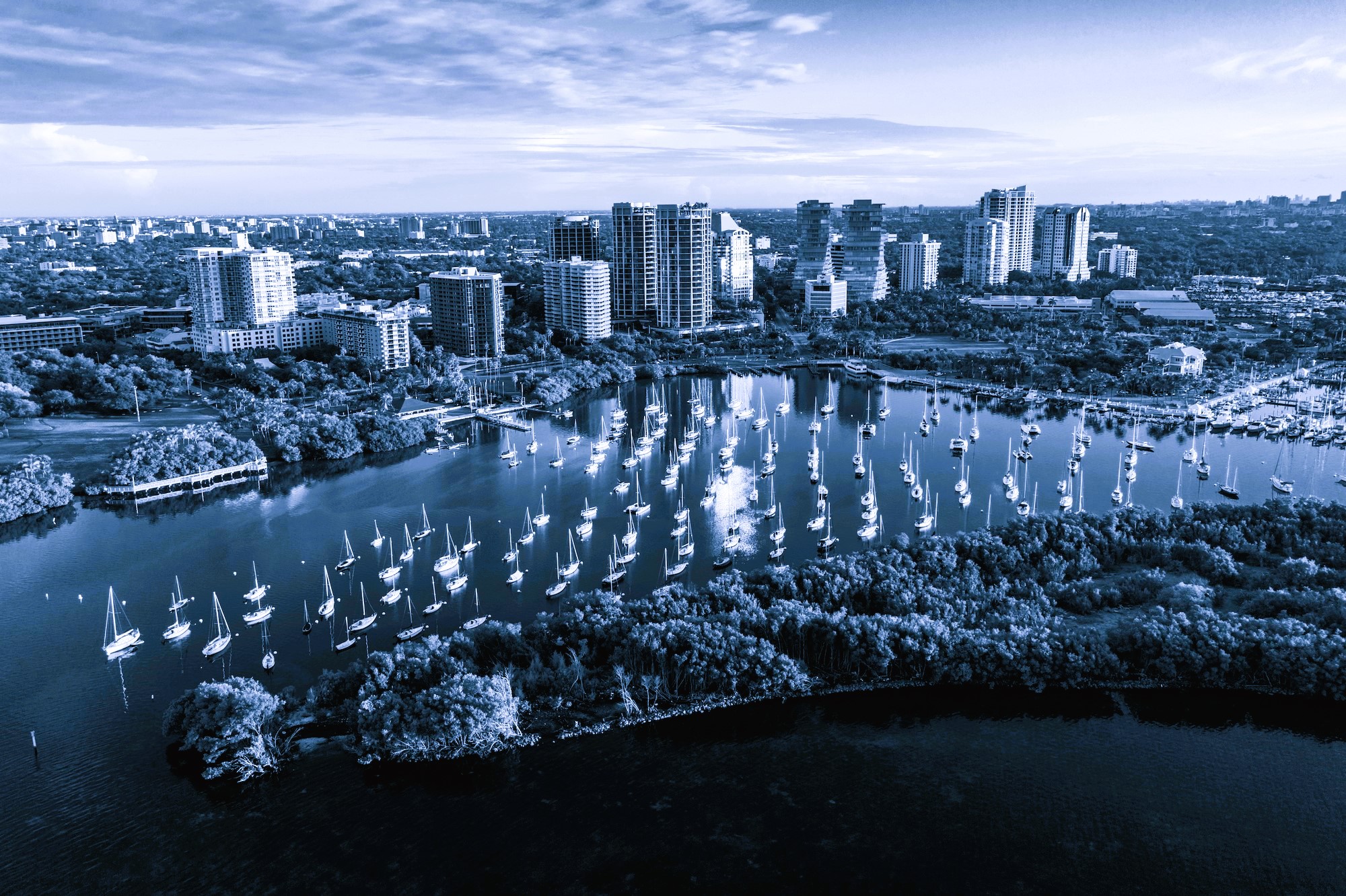 Coconut Grove and its pier captured from above.