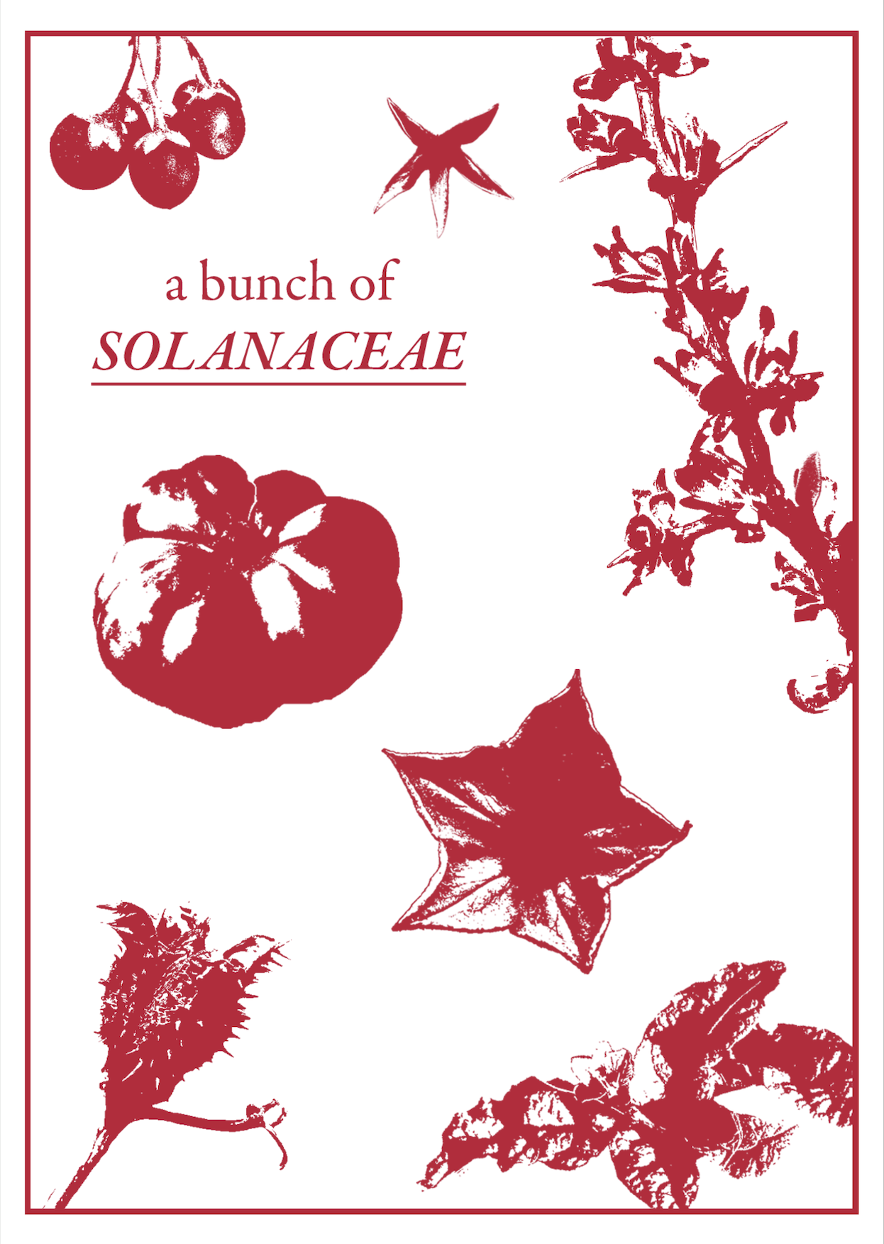 Red front cover of issue 6, a bunch of Solanaceae