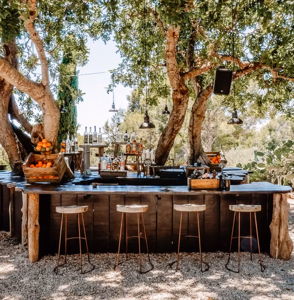 Outdoor kitchen in the backyard