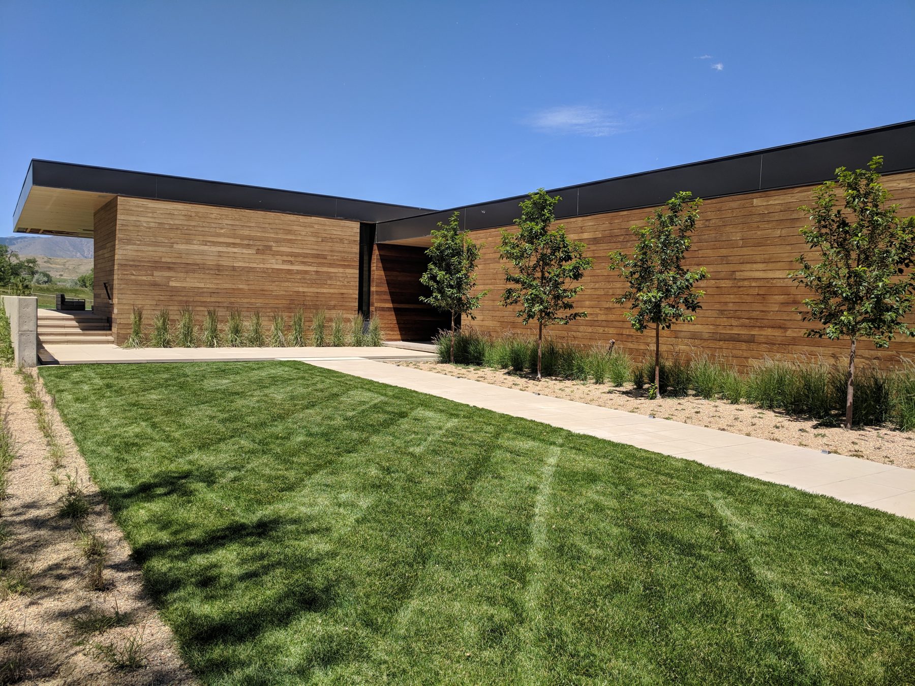Mowed green lawn and young trees along a modern wood-clad home