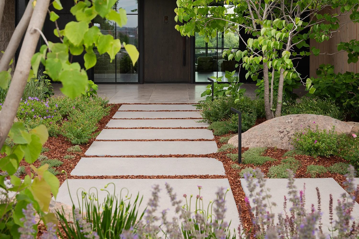 Wide concrete stepping pavers set in mulch leading to a modern front entry, with lavender, a boulder, and a young tree