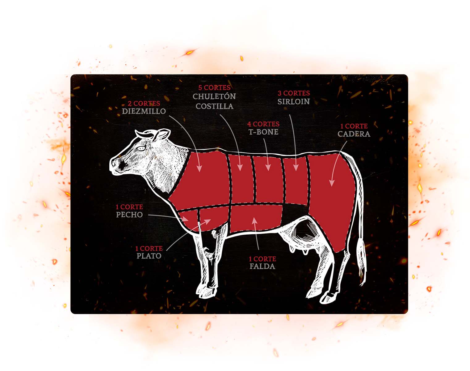 Diseño y programación de un mapa interactivo en forma de vaca para visualizar los diferentes cortes de carne - Portafolio de GabyChao