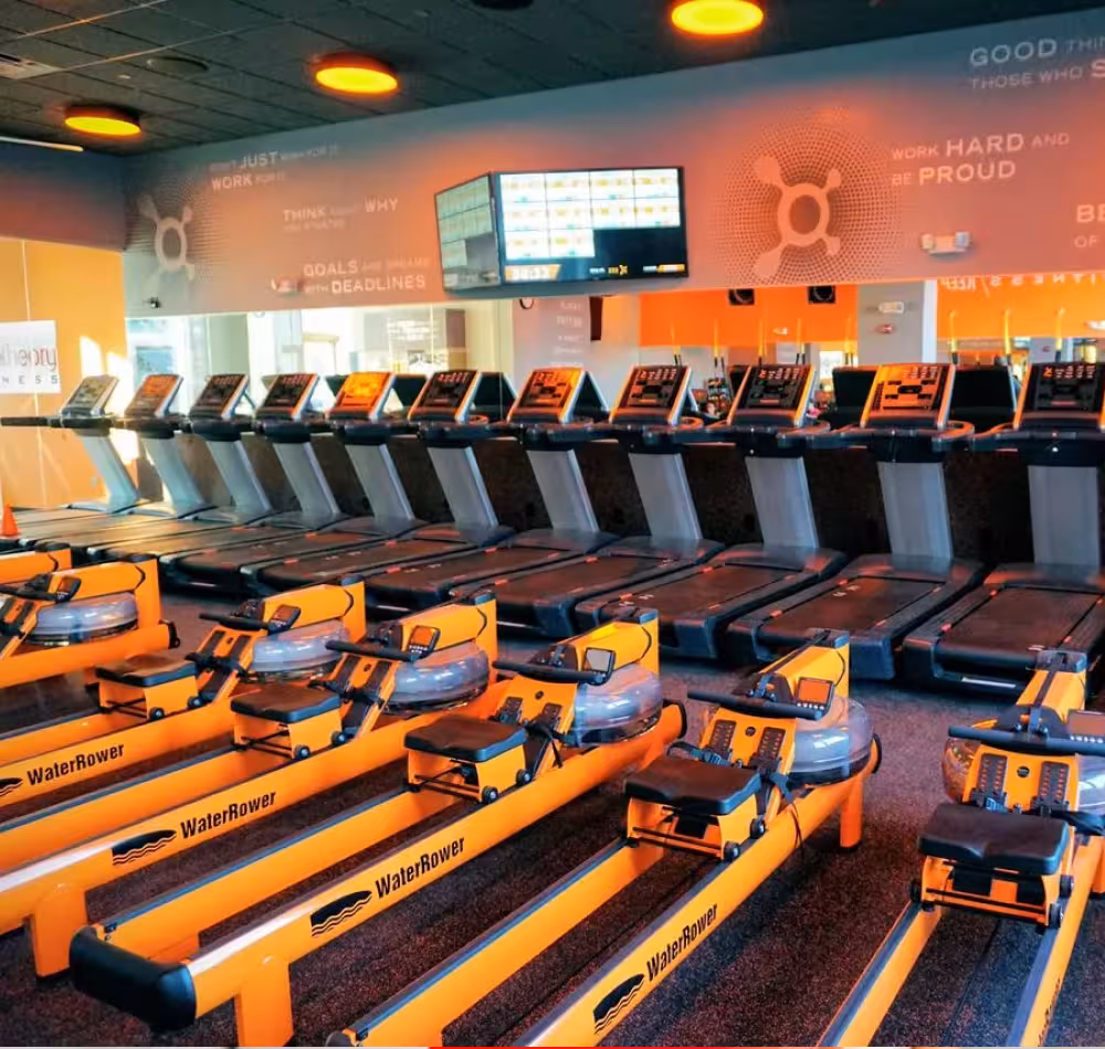 Row of rowers in an Orangetheory Fitness gym.