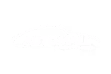 Лого заказчика масштабных форумов и выставок у Media Show grup - Automall