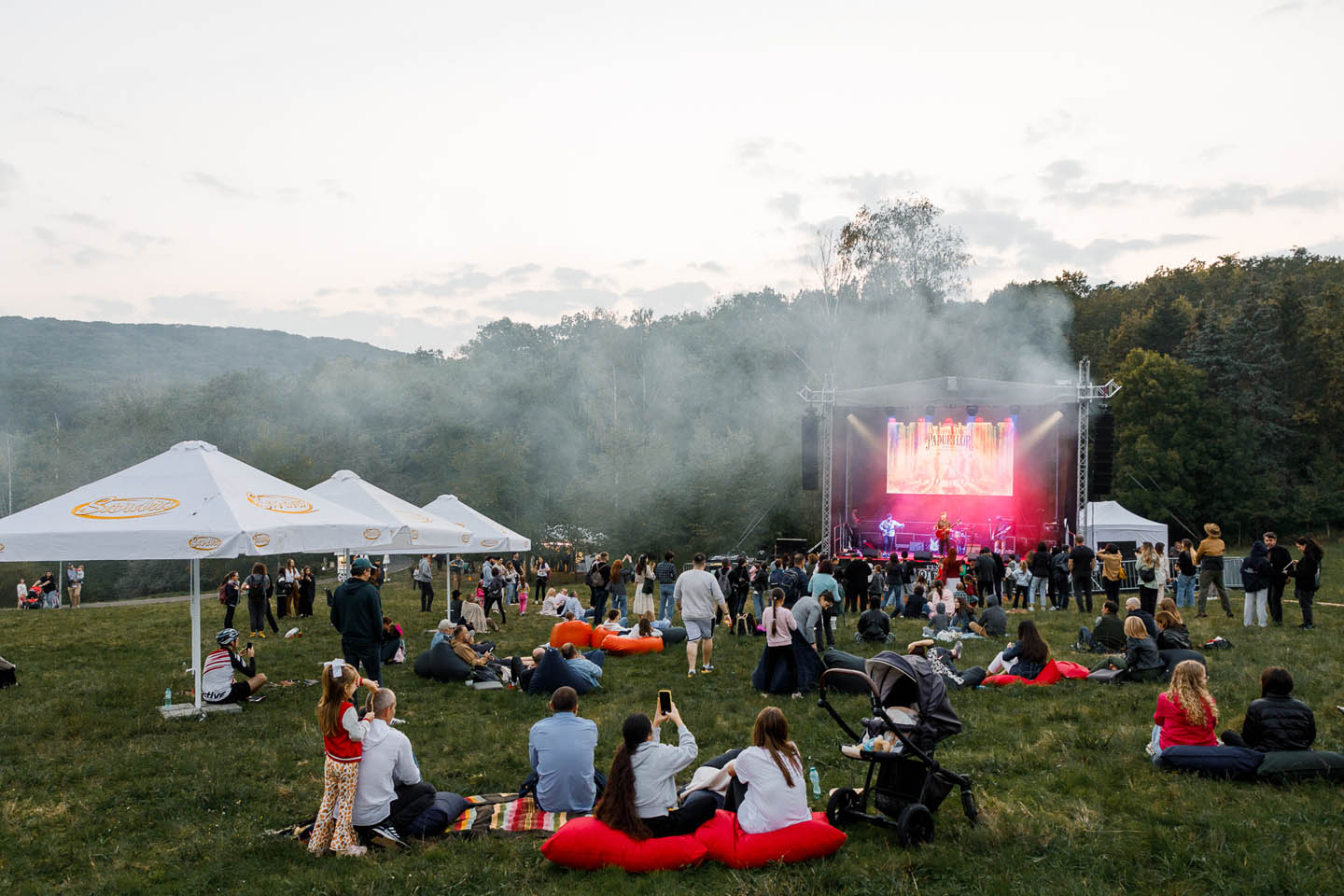 Толпа людей на открытом воздухе сидит и стоит перед сценой с освещением и дымом, музыка на фоне зеленых деревьев на фестивале.