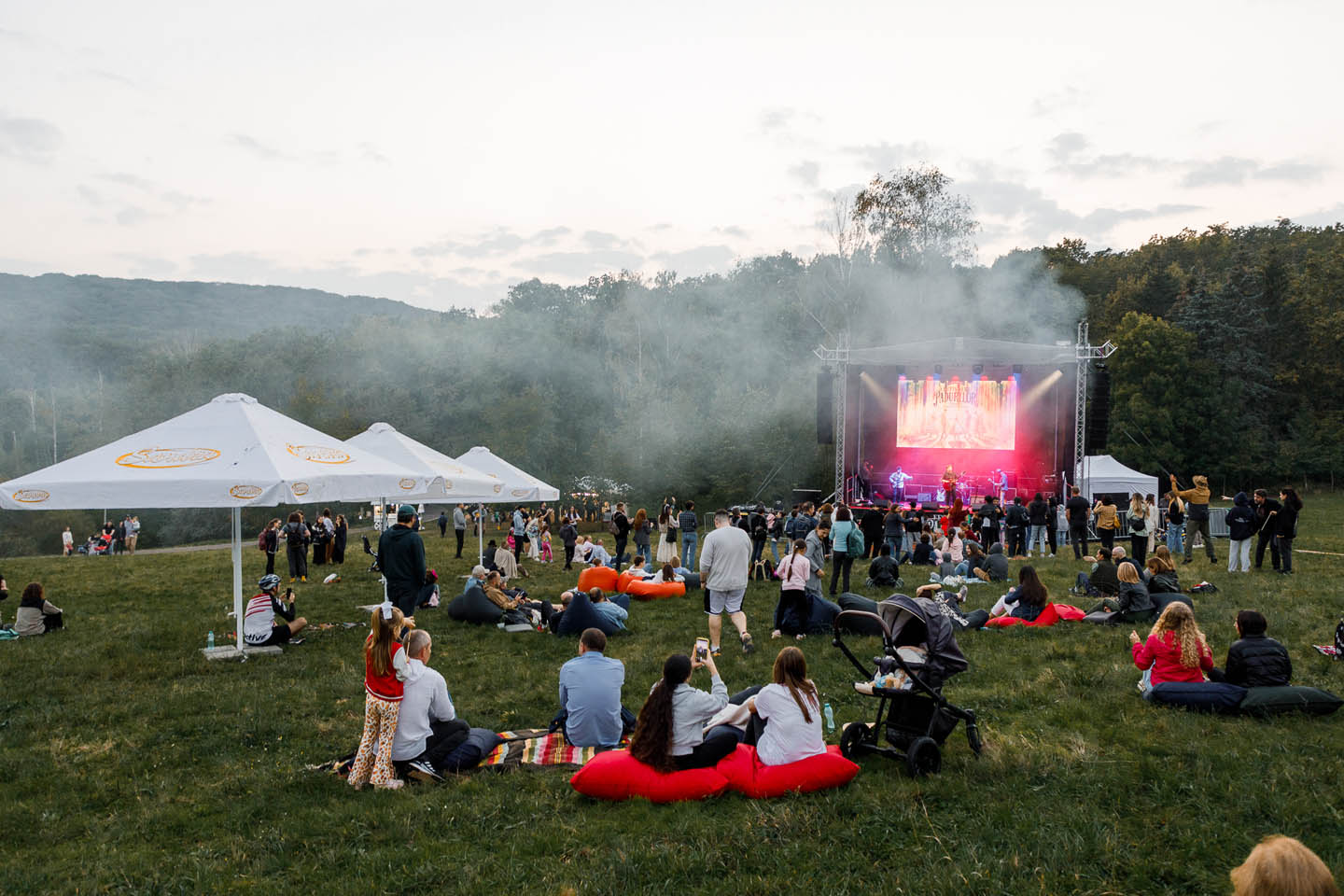 Люди сидят и стоят на траве перед сценой с музыкальным выступлением на открытом воздухе в парке или лесу.