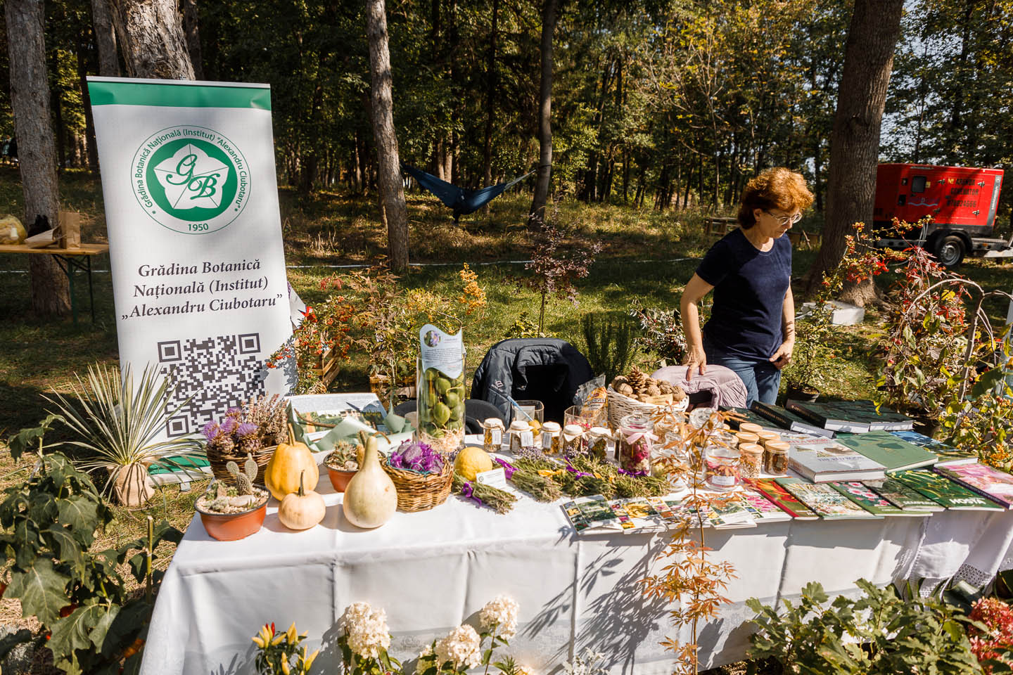 Женщина стоит у стола с растительными экспонатами, книгами и банками с мёдом на мероприятии на открытом воздухе в лесу.