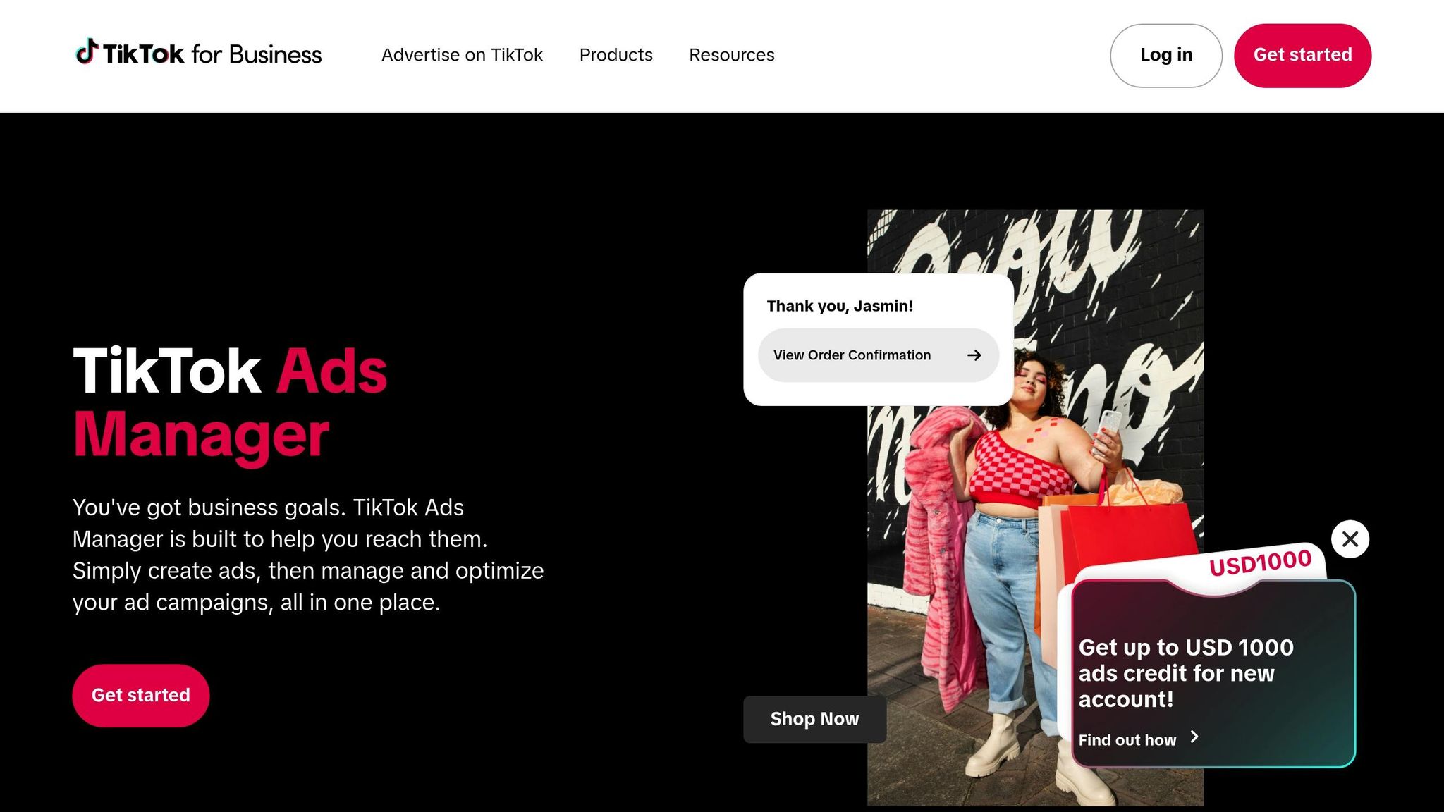 TikTok Ads Manager