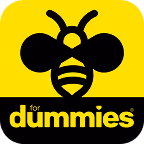 beekeeping for dummies logo