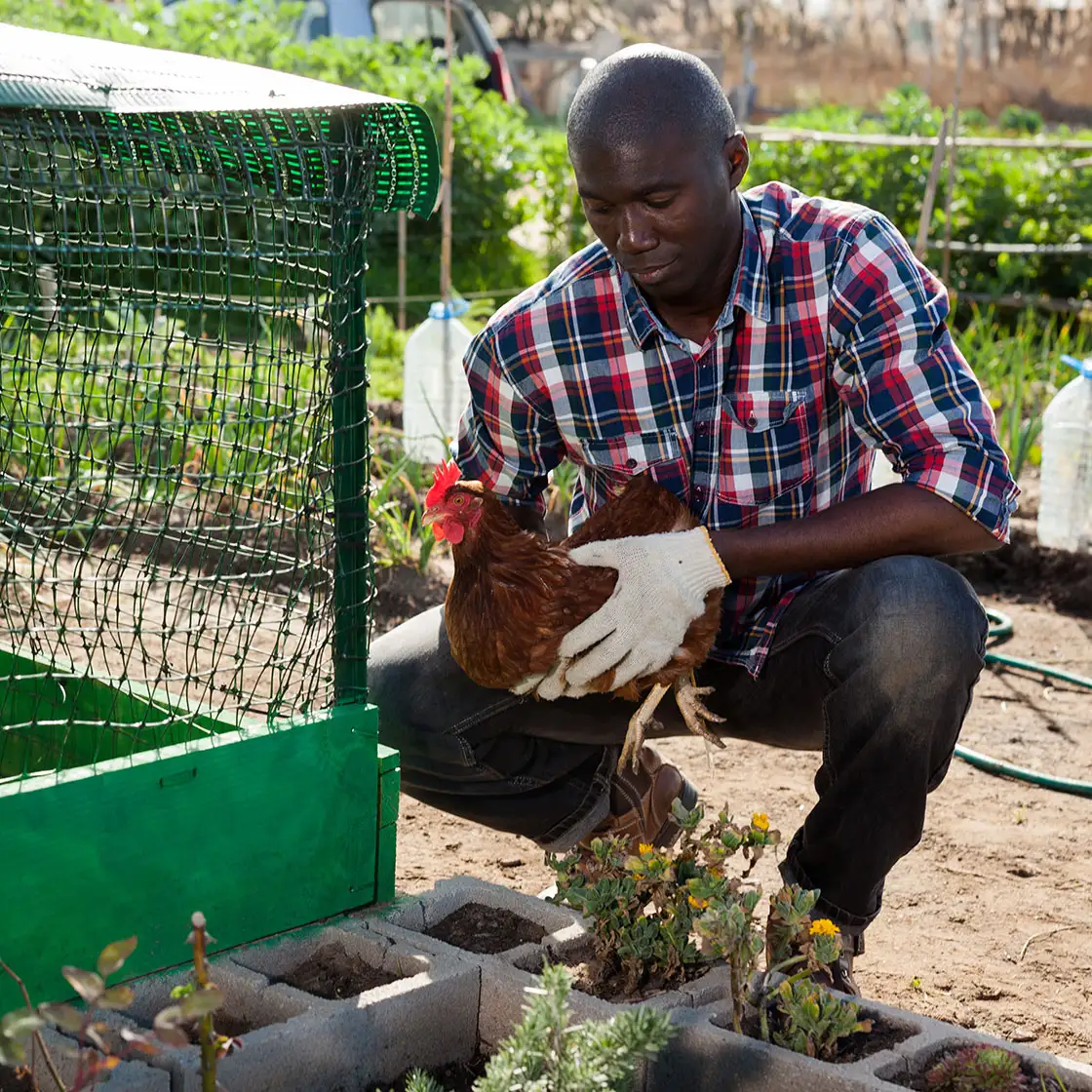 Man standing at kitchen counter cutting up vegetables for a salad.