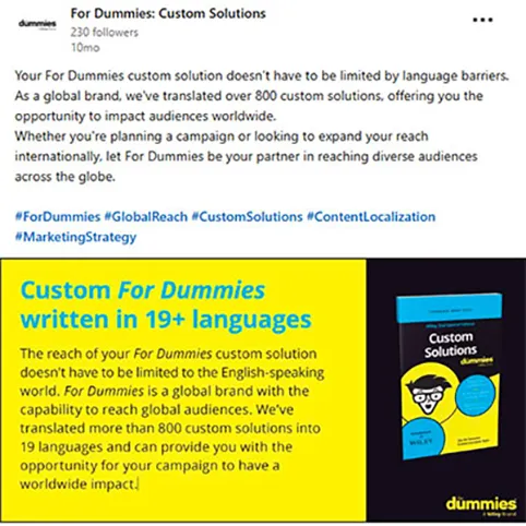 Custom For Dummies social cards