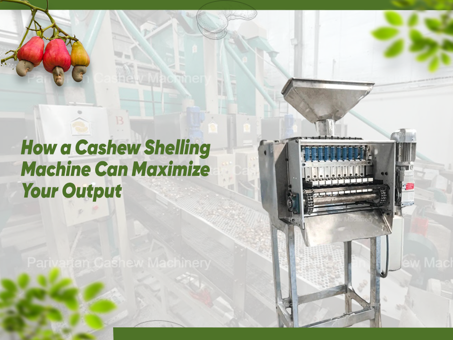 How a Cashew Shelling Machine Can Maximise Your Output