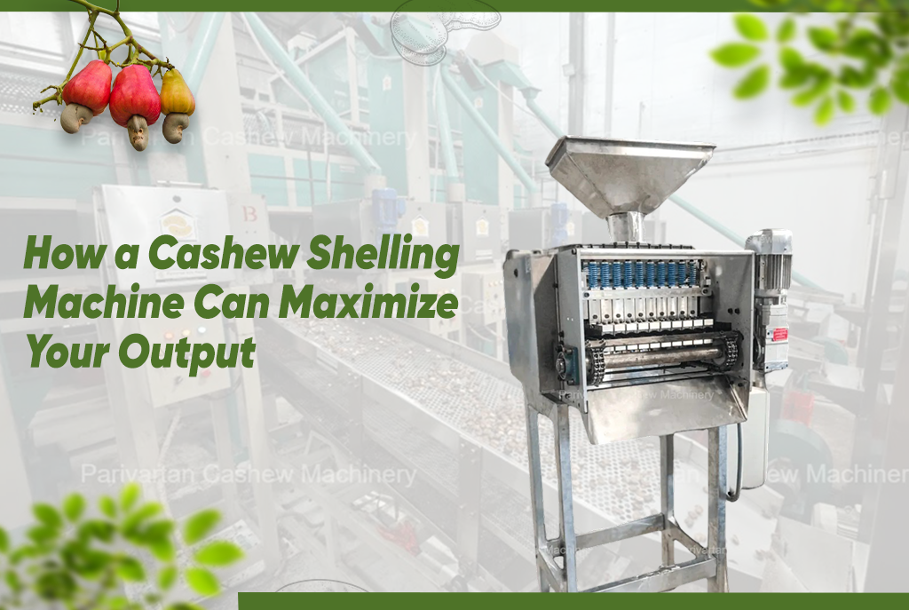How a Cashew Shelling Machine Can Maximise Your Output