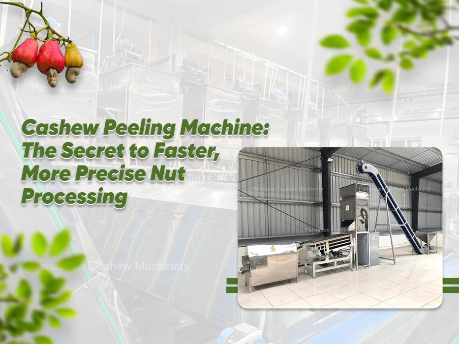 Automatic Cashew Peeling Machine – Boost Efficiency, Quality & Profits