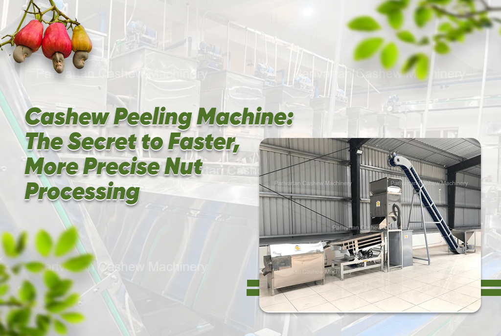 Cashew Peeling Machine: The Secret to Faster, More Precise Nut Processing