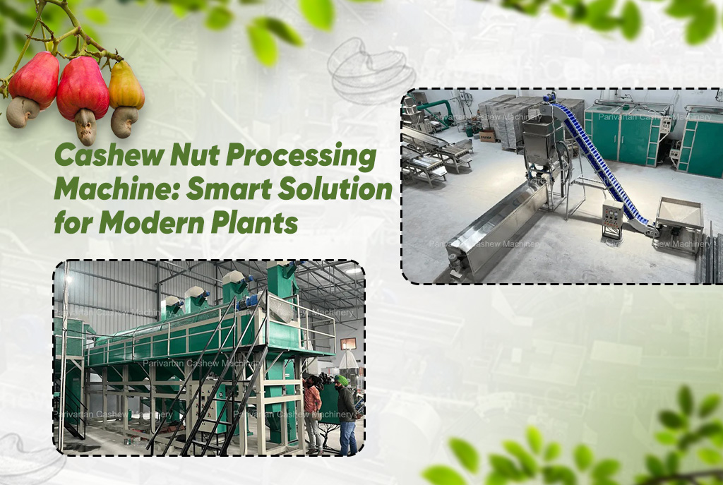 Cashew Nut Processing Machine: Smart Solution for Modern Plants