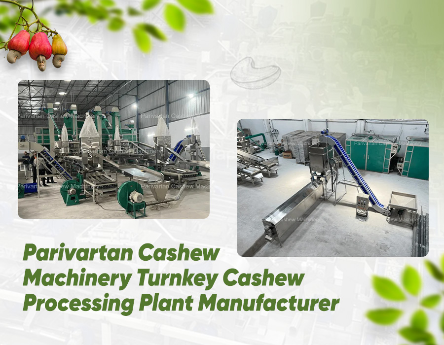 Parivartan Cashew Machinery – Turnkey Cashew Processing Plant Manufacturer