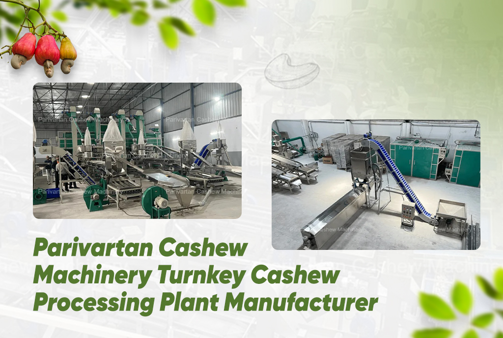 Parivartan Cashew Machinery – Turnkey Cashew Processing Plant Manufacturer