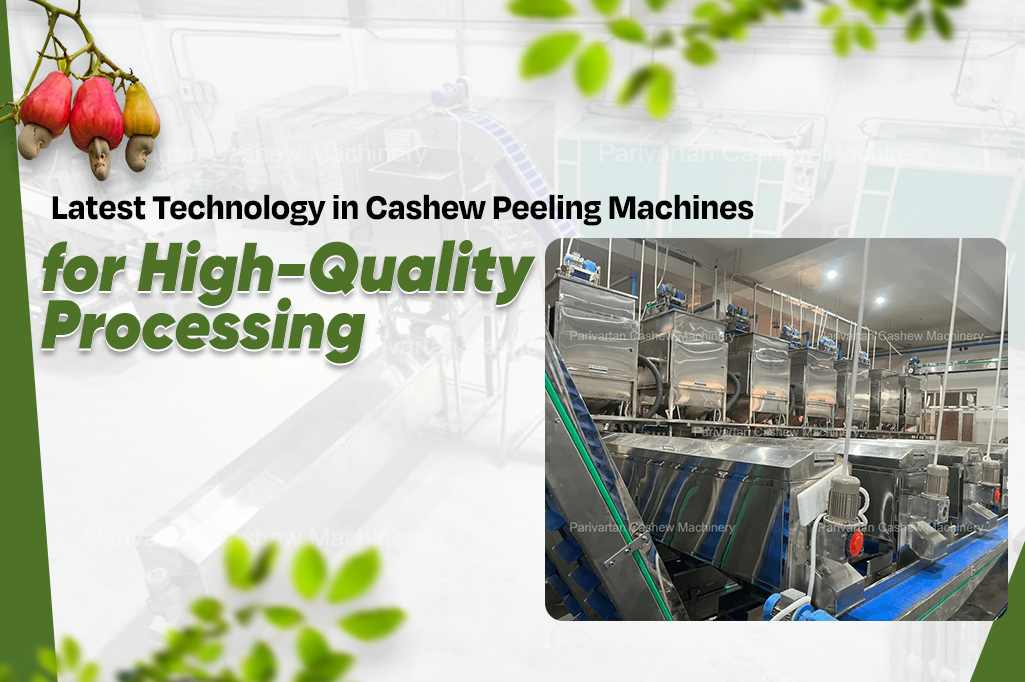 Latest Technology in Cashew Peeling Machines for High-Quality Processing