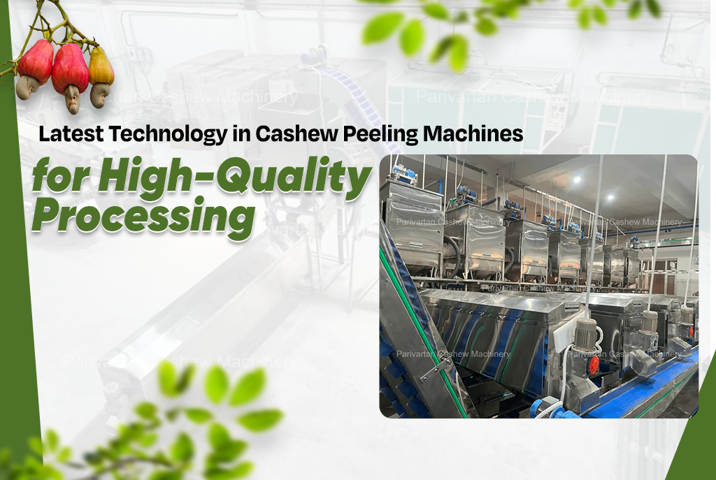 Latest Technology in Cashew Peeling Machines for High-Quality Processing
