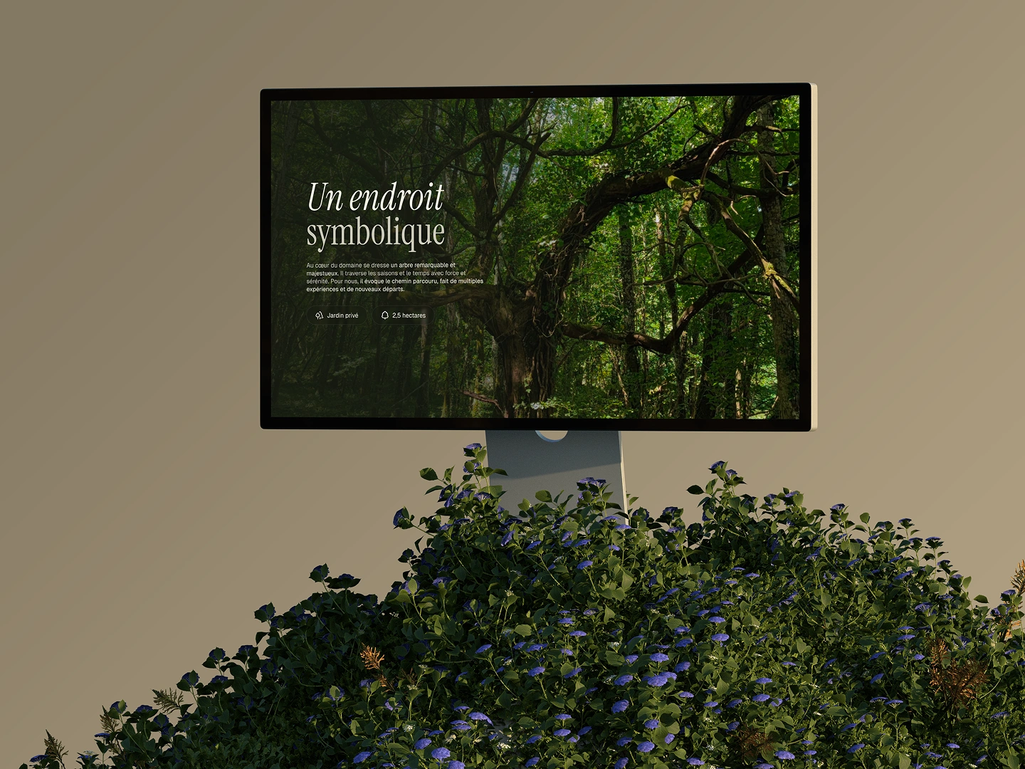 Mockup du site internet du Jardin Chuchotant, créé par Jaéco
