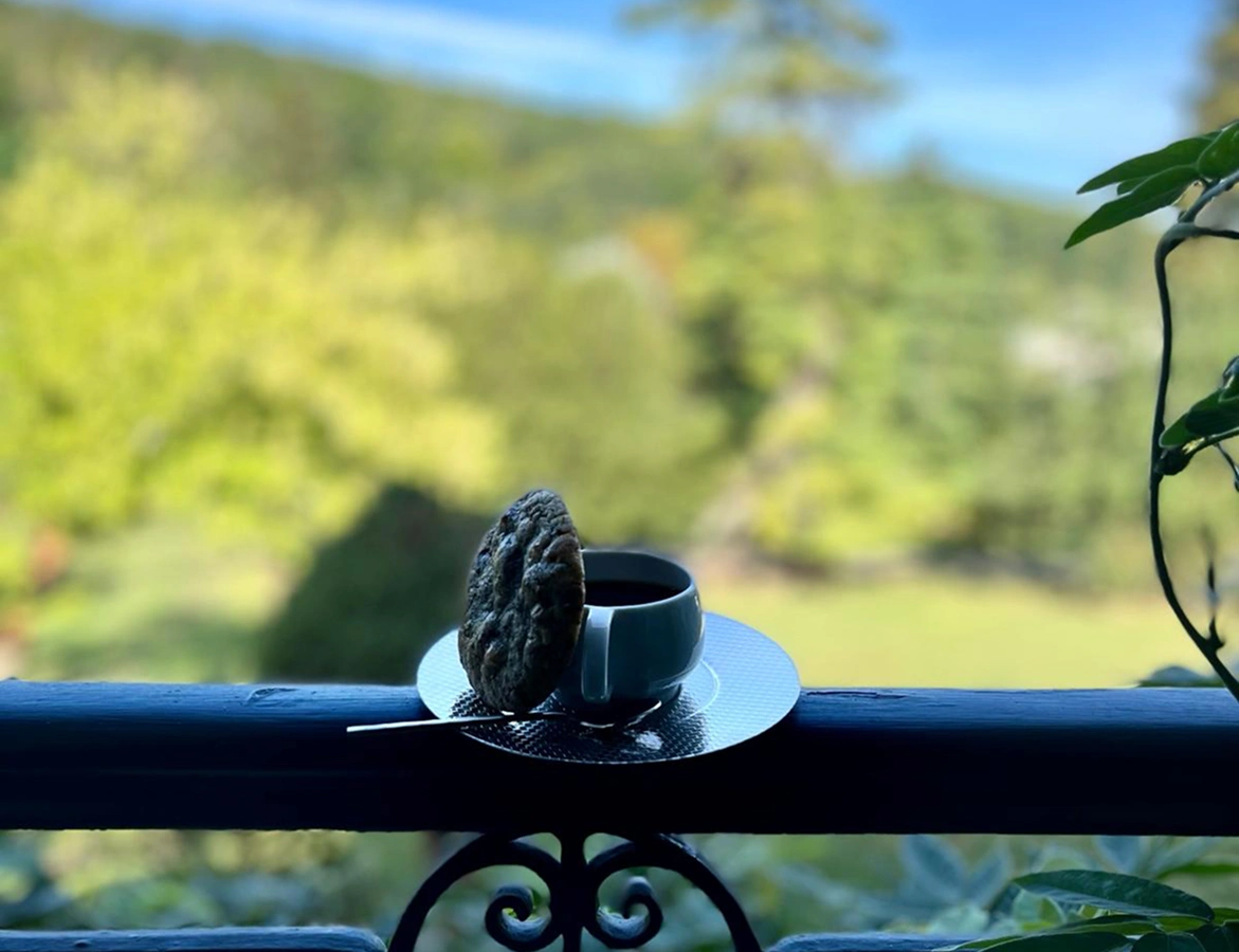 Photographie artistique du domaine du val d'atur