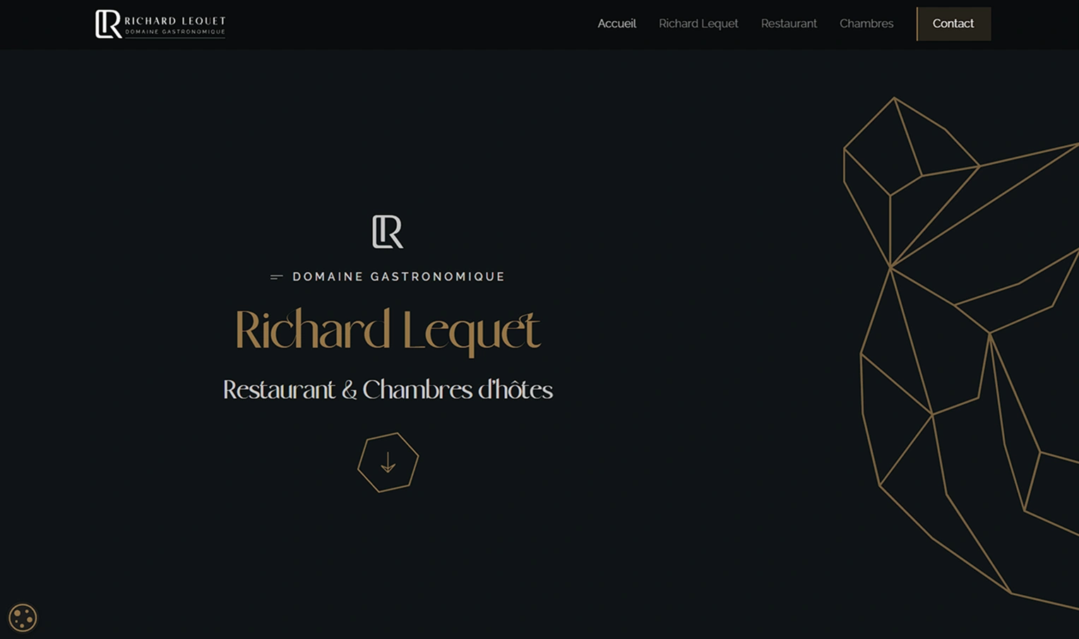 Section du site internet de Richard Lequet, fait par Jaéco