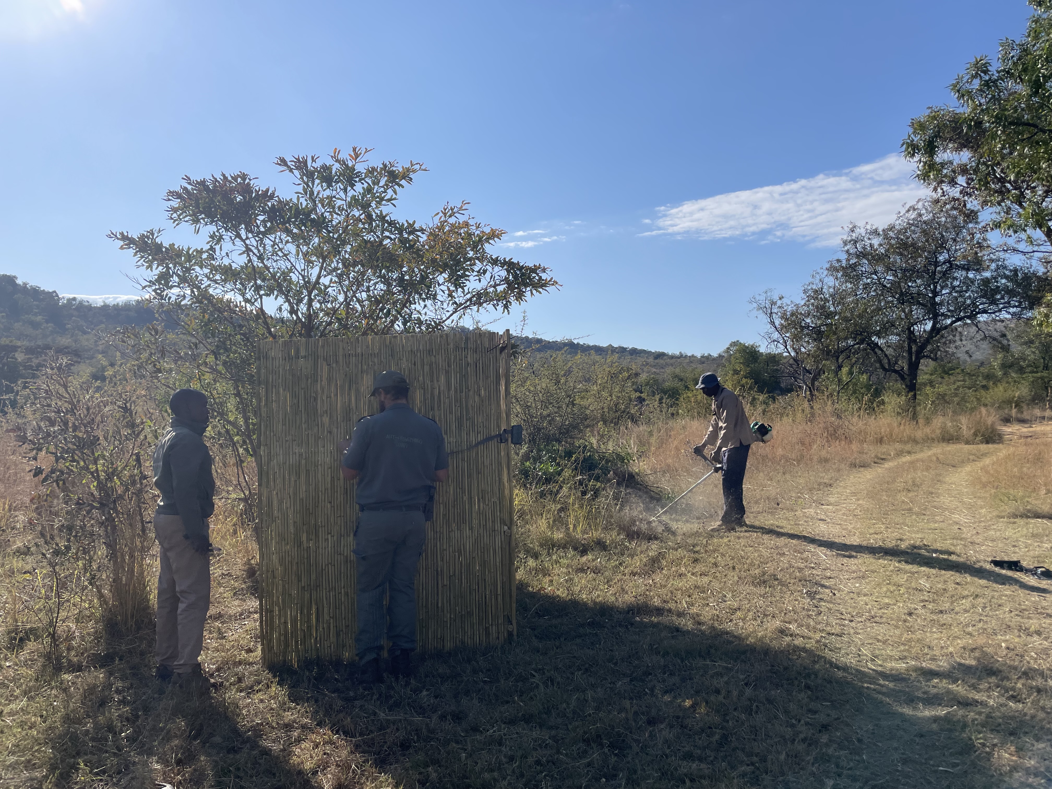 Leopard hide, with a baiting site and a camera close to it.