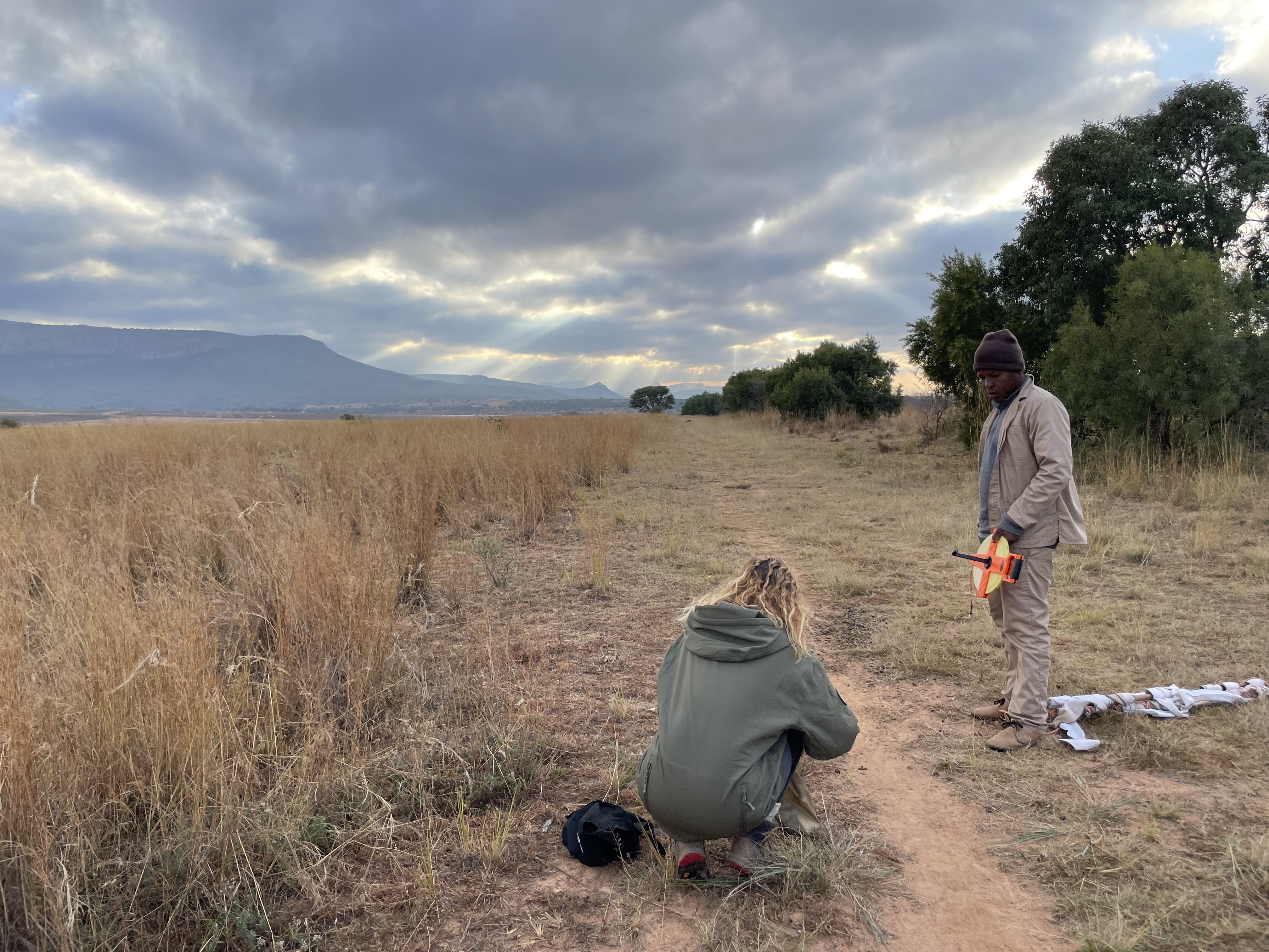 Taking measurements on tick abundance, for Kaya, another student on the reserve, out in the 'bushveld'.