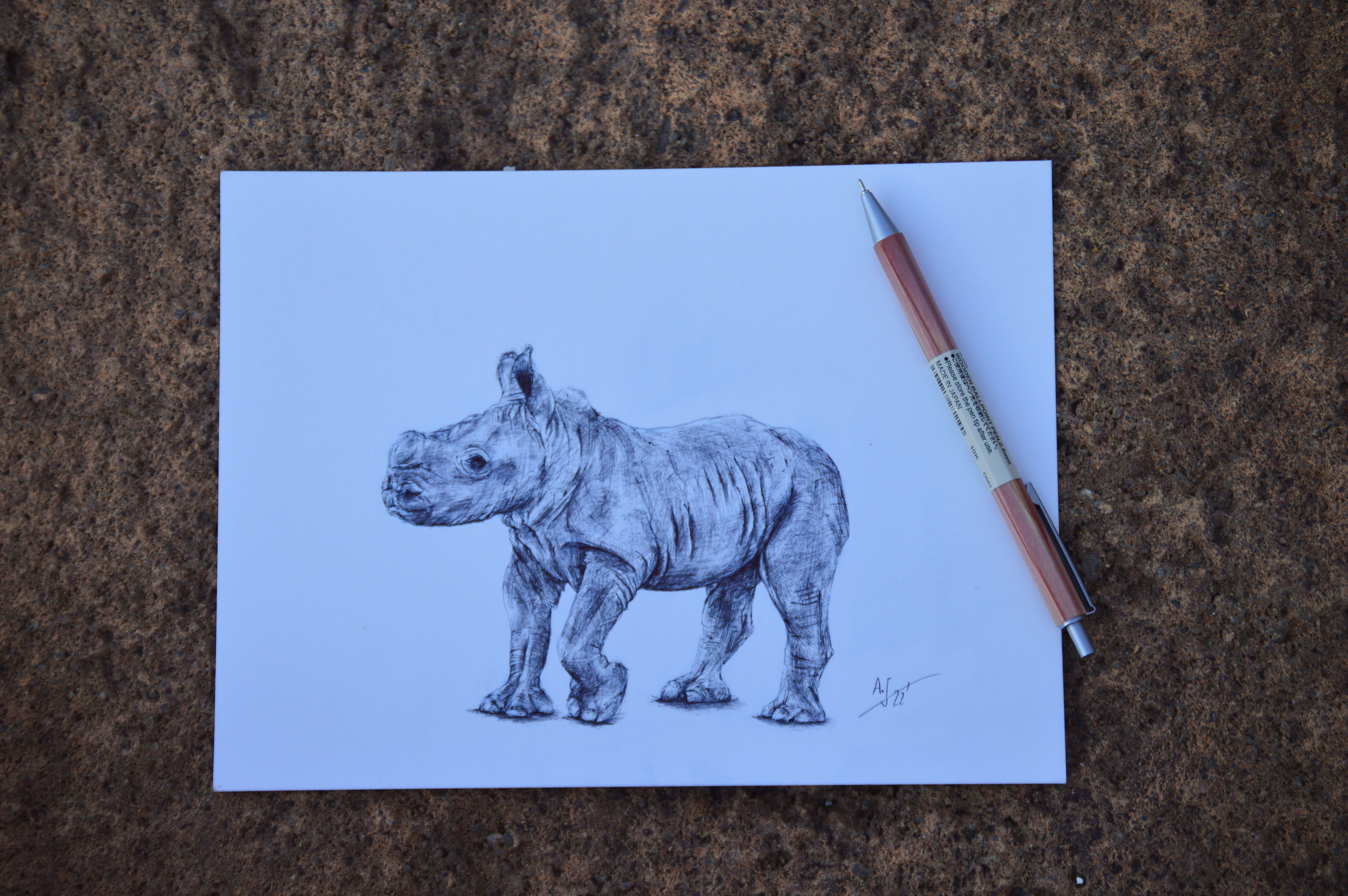 Geronimo, the baby rhino on the reserve.