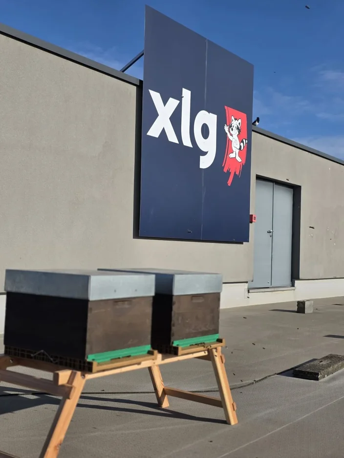 What we are initiating today