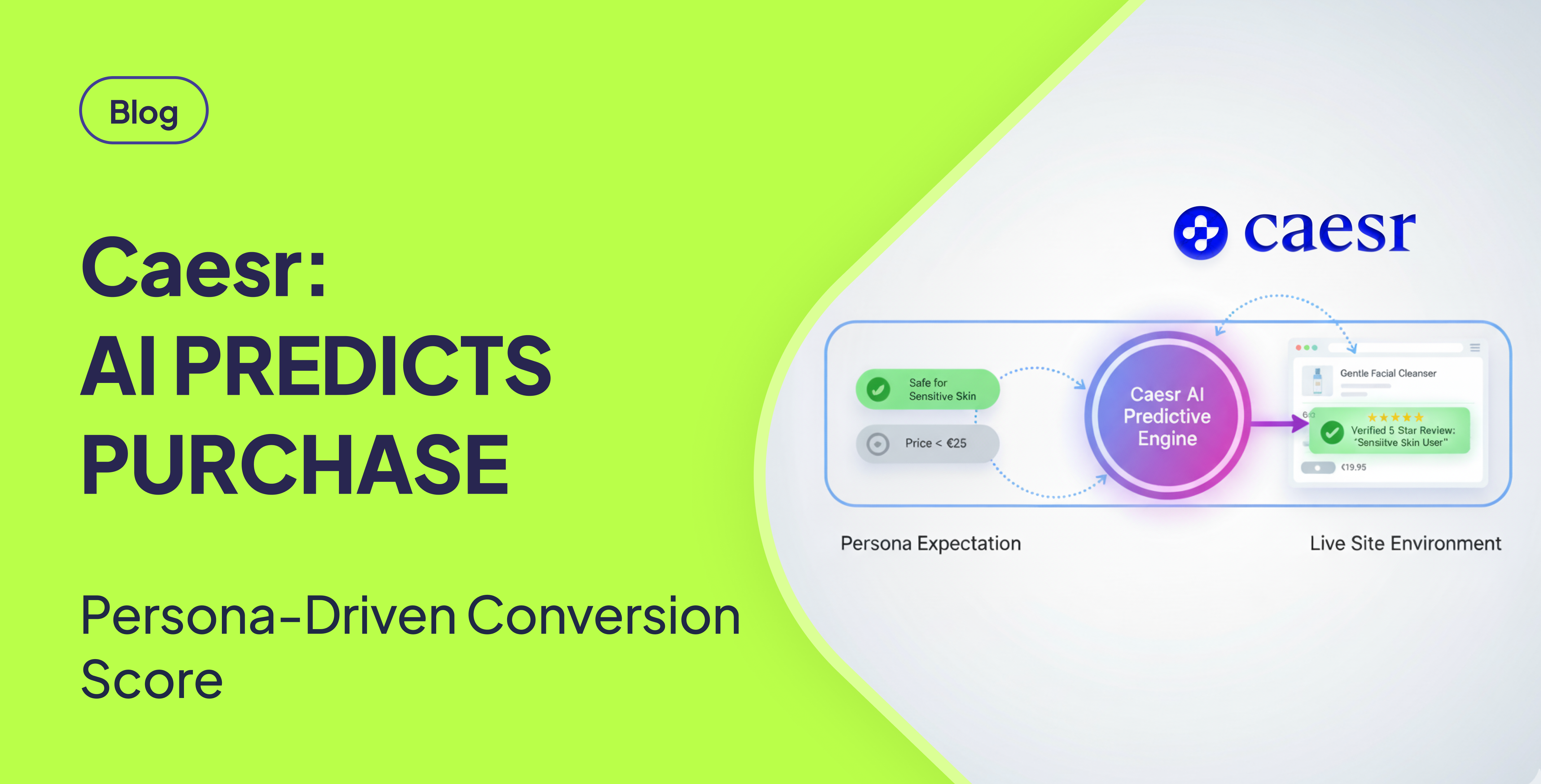 A vibrant blog thumbnail with a lime green background. On the left, large white text reads "Blog," followed by "Caesr: AI PREDICTS PURCHASE" and "Persona-Driven Conversion Score." On the right, a graphic illustrates "Persona Expectation" (showing a "Safe for Sensitive Skin" badge and "Price < €25") connected by dotted arrows to a "Caesr AI Predictive Engine" (which has the Caesr logo subtly integrated within its purple gradient). From the engine, an arrow points to the "Live Site Environment," a simplified web UI showing a "Verified 5 Star Review: 'Sensitive Skin User'" and a price of "€19.95." The Caesr logo is also in the top right corner of the graphic