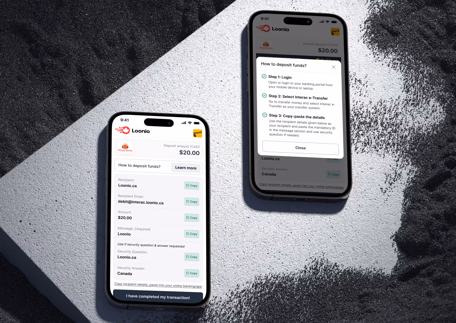 Loonio client project testimonial