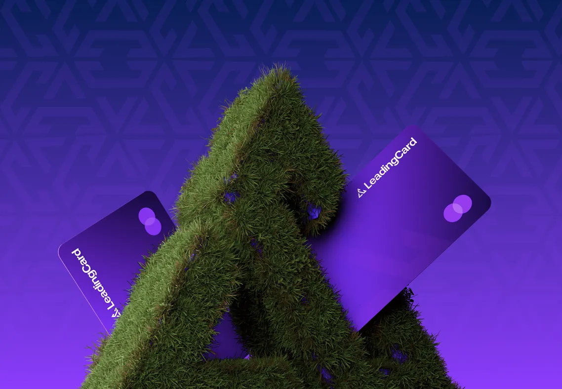 Leading Cards bank card presentation by ofspace