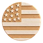Usa icon logo image