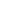 EU AI Act