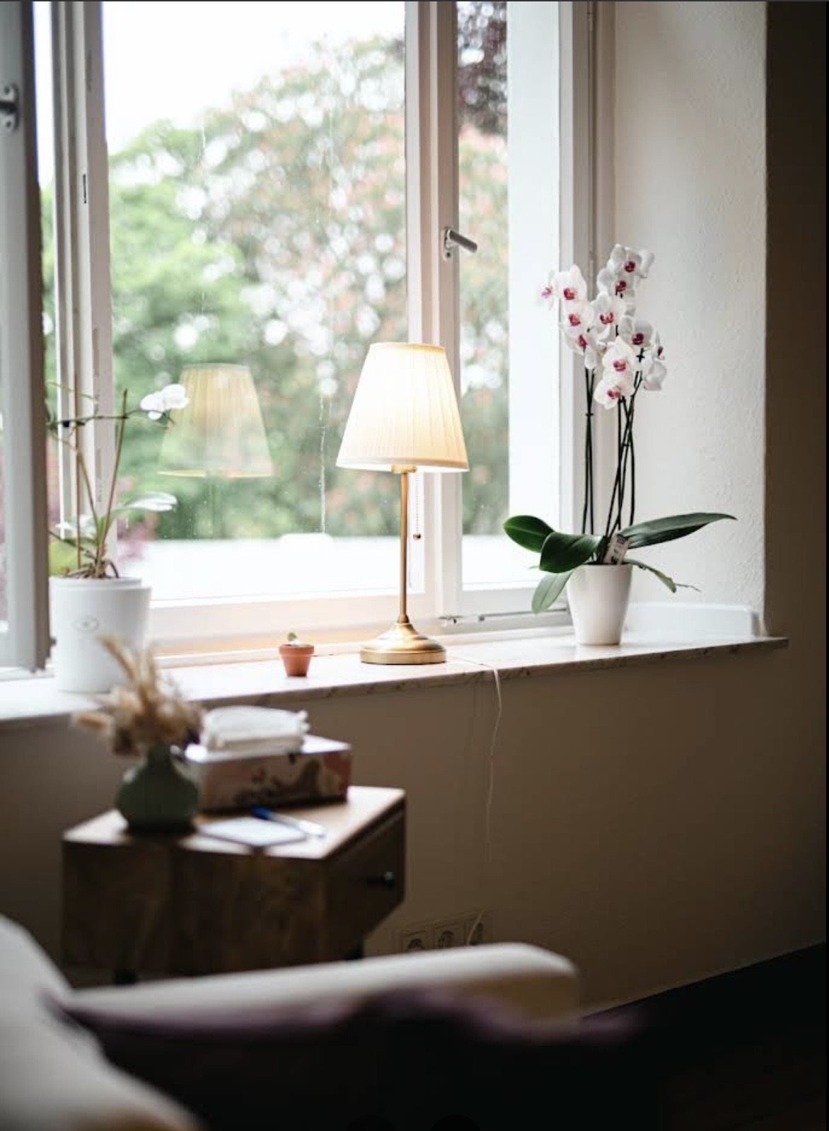 Fensterbank mit Lampe und Orchidee im Therapieraum – Praxis für Psychotherapie in Kamen