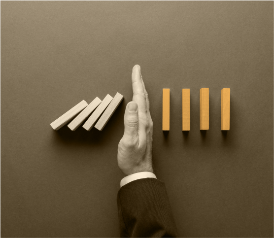 Ocanos Risk Customization