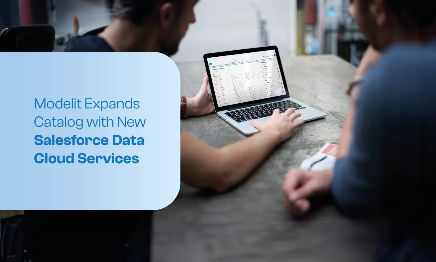 Modelit Salesforce Data Cloud Service