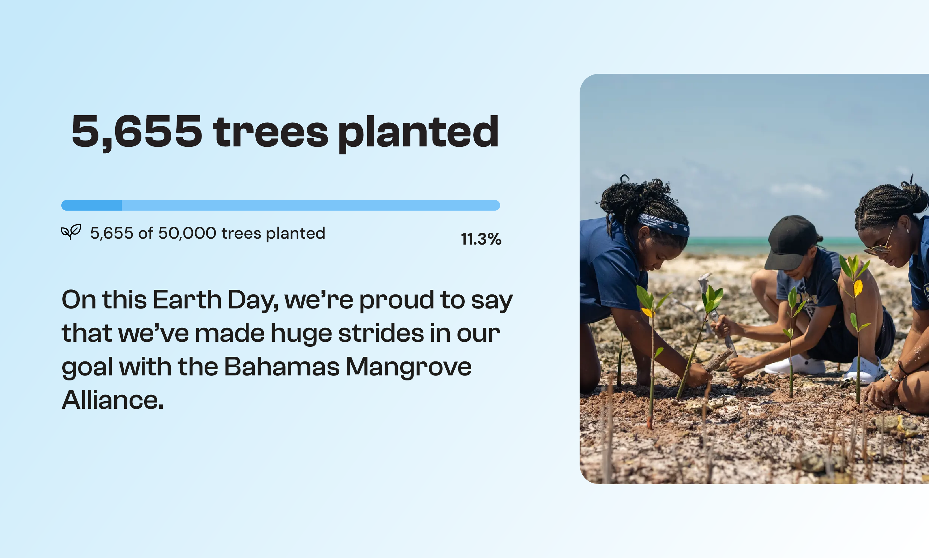 Modelit continues 1T efforts by helping plant over 5,600 trees