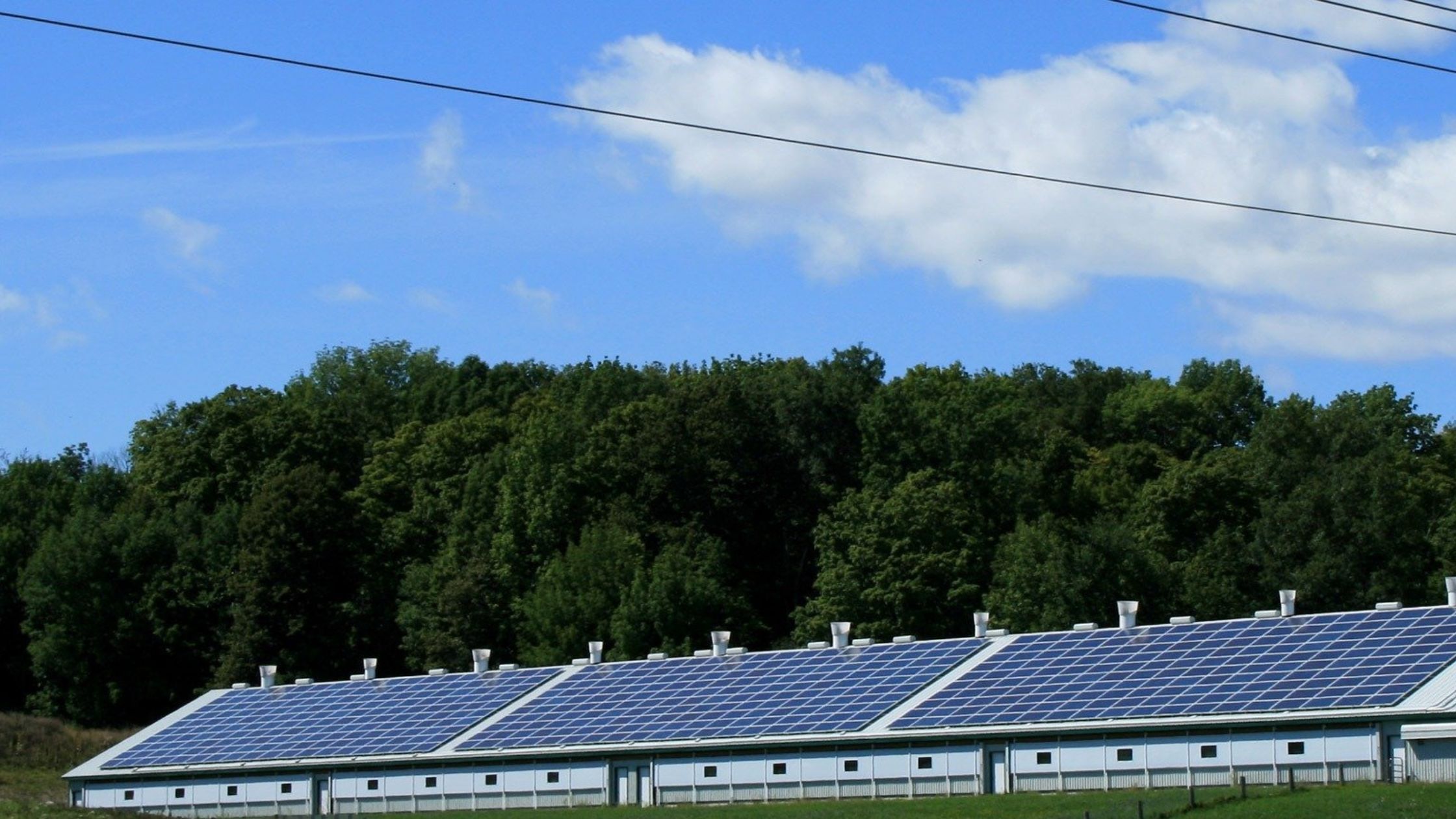 Solar Panel Sizes: A Comprehensive Guide - Sunollo