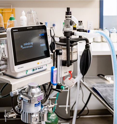 veterinary ophthalmology equipment