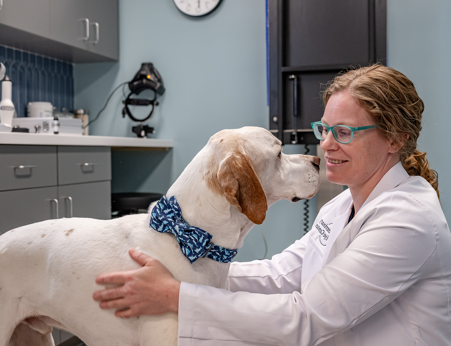 veterinary ophthalmologist with dog 
