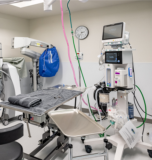 veterinary eye center operating room