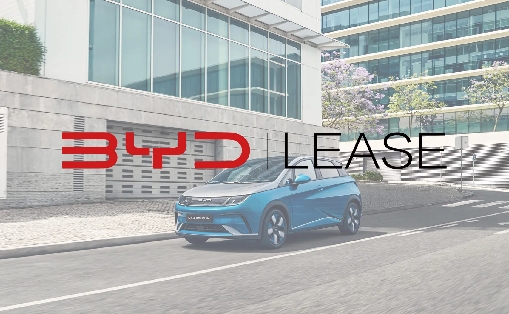 BYD DOLPHIN, Komplettansicht, Beifahrerseite, Fahrt beim Meer