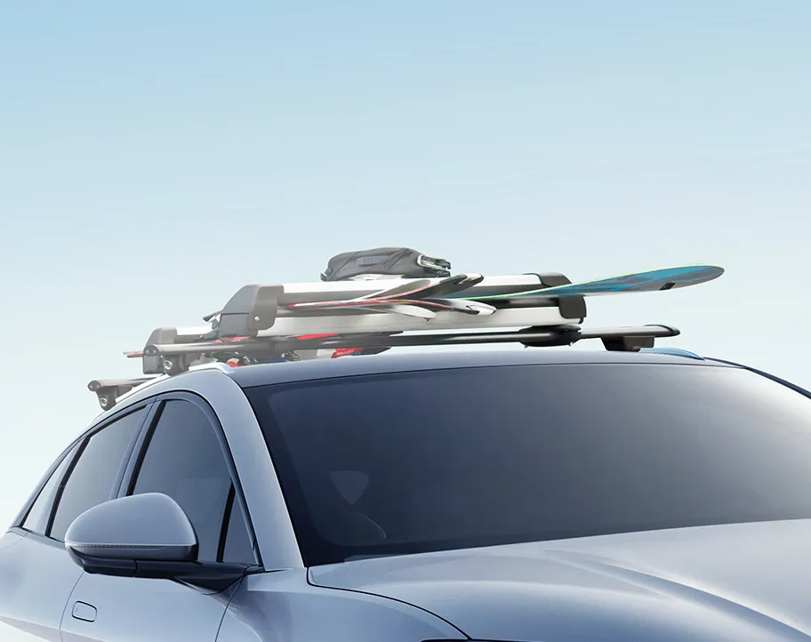 BYD, Zubehör, Skiträger