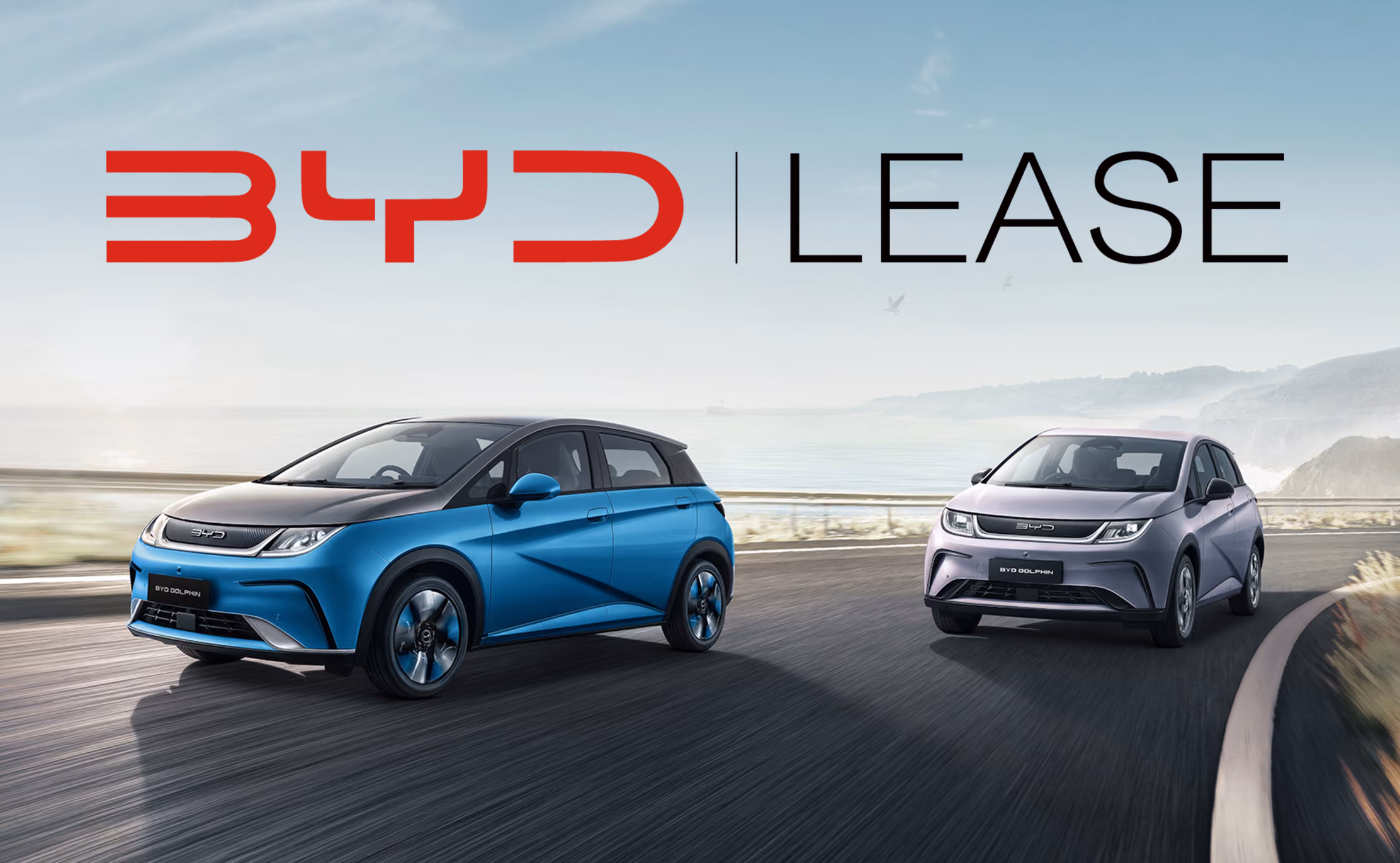 BYD DOLPHIN, Komplettansicht, Beifahrerseite, Fahrt beim Meer