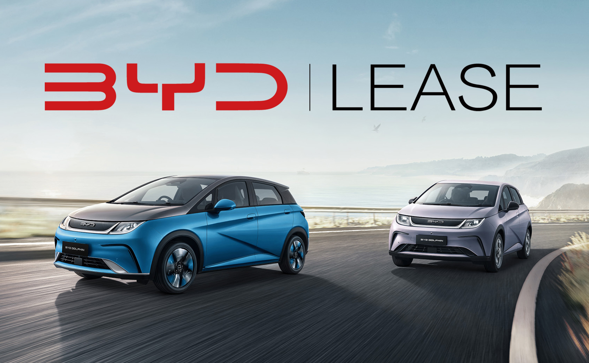 BYD DOLPHIN, Komplettansicht, Beifahrerseite, Fahrt beim Meer
