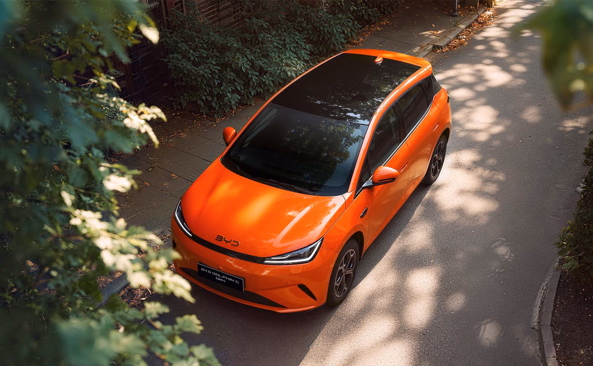 BYD DOLPHIN, Komplettansicht, Beifahrerseite, Fahrt beim Meer